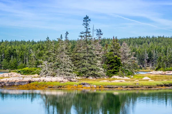 Pequena Ilha Alce Parque Nacional Acadia Schoodic Península — Fotografia de Stock