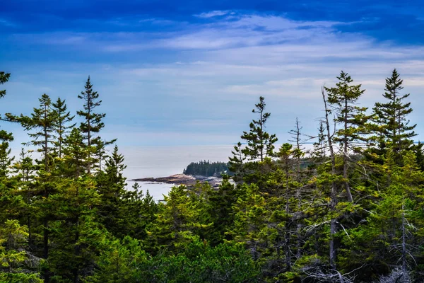 Schoodic Hlavy Bod Národním Parku Acadia Maine — Stock fotografie