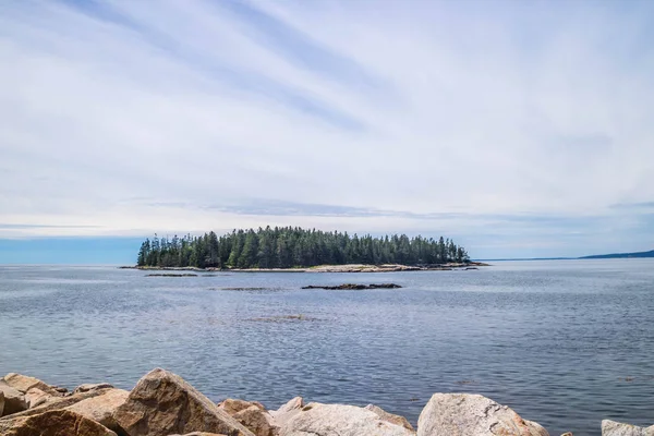 Sundrew Stezka Národním Parku Acadia Maine — Stock fotografie