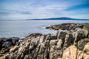 Acadia Milli Parkı, Maine Sundrew iz