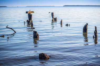 İçin bir yol nehre Everglades Ulusal Park, Florida