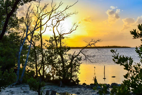 Belo Pôr Sol Sobre Mar Com Céu Limpo Key Largo — Fotografia de Stock