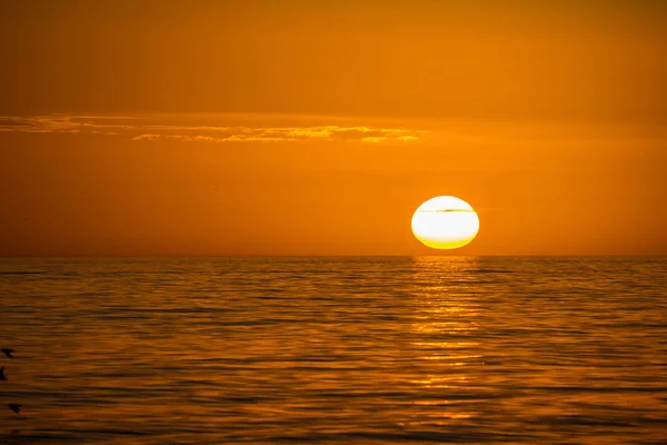 Belo pôr do sol sobre o mar com céu limpo na Ilha Anna Maria, Flórida — Fotografia de Stock