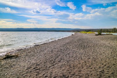 The Yellowstone National Park, Wyoming ormanda küçük açık bir göl