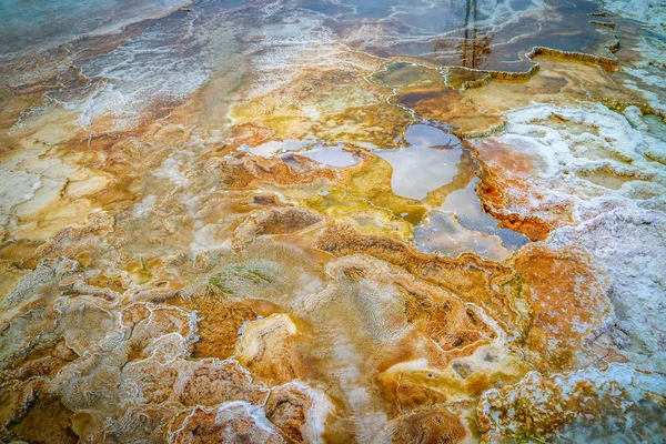 Obszar Mamuta Hot Springs w Parku Narodowym Yellowstone, Wyoming — Zdjęcie stockowe