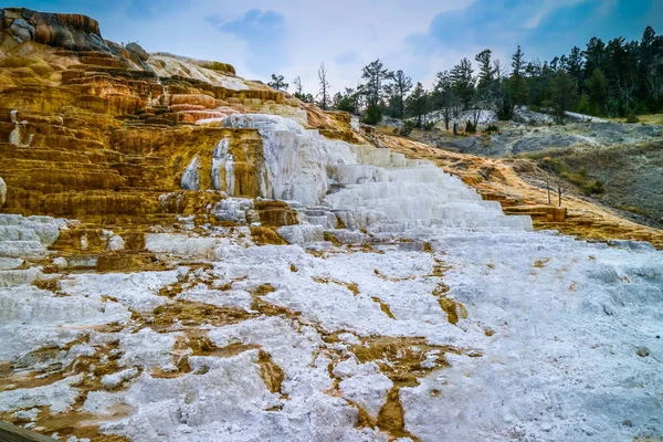 El área de Mammoth Hot Springs en el Parque Nacional de Yellowstone, Wyoming — Foto de Stock