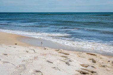 Perdido Key State Park, Florida 'daki sahilin manzarası.