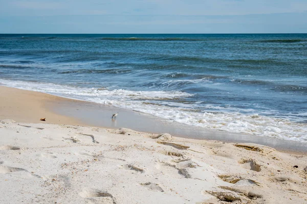 Вид на берег в Perdido Key State Park, Флорида — стоковое фото