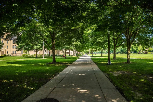 Uma vista deslumbrante do campus enquanto dá um passeio dentro de Notre Dame — Fotografia de Stock