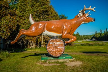 Bir giriş yolu Mackinac Adası, Michigan çiftliğine gidiyor