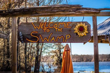 Abbeville, Louisiana'da bataklık alanına giden bir giriş yolu