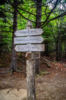 Acadia Ulusal Parkı, Maine iz için bir açıklama tahtası