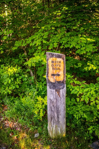 Una tabla de descripción para el sendero en el Parque Nacional Acadia, Maine —  Fotos de Stock