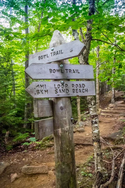 A description board for the trail in Acadia National Park, Maine — Stock Photo, Image