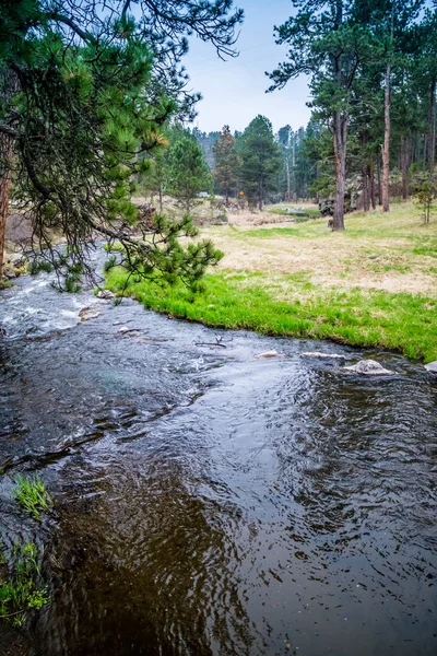 El arroyo francés en Custer State Park, Dakota del Sur —  Fotos de Stock