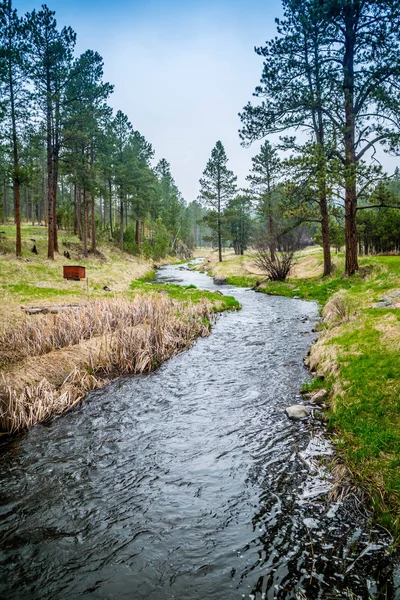 Custer State Park'taki Fransız Deresi, Güney Dakota