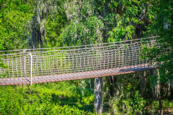 Um longo passeio de dossel em Santa Ana NWR, Texas — Fotografia de Stock