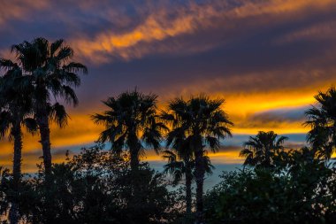 Donna Victoria Palms Rv Resort, Teksas 'ta dramatik, canlı gün batımı manzarası