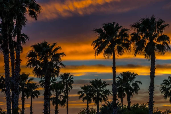 Coucher de soleil spectaculaire à Donna Victoria Palms RV Resort, Texas — Photo