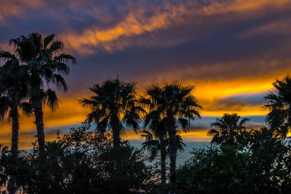 Dramatic vibrant sunset scenery in Donna Victoria Palms RV Resort, Texas — Stock Photo, Image