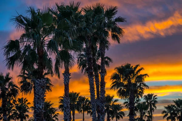 Dramatic vibrant sunset scenery in Donna Victoria Palms RV Resort, Texas — Stock Photo, Image