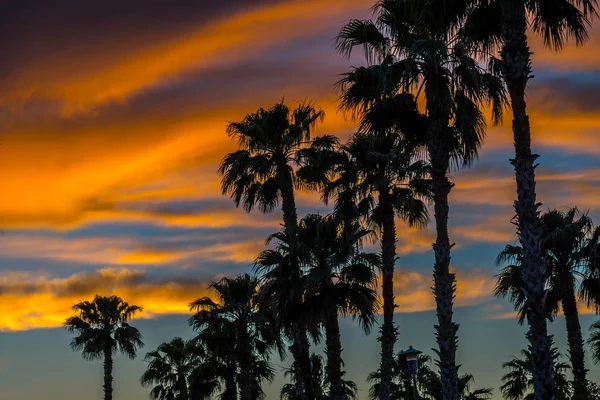 Cenário vibrante dramático do pôr do sol em Donna Victoria Palms RV Resort, Texas — Fotografia de Stock