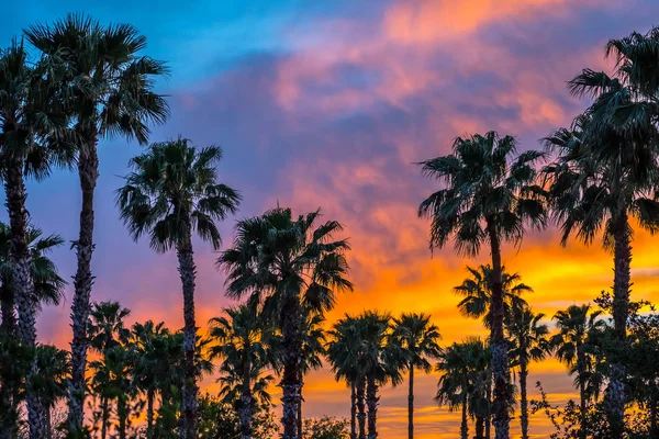 Dramatic vibrant sunset scenery in Donna Victoria Palms RV Resort, Texas — Free Stock Photo