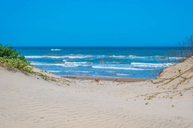 A beautiful soft and fine sandy beach along the gulf coast of South Padre Island, Texas clipart