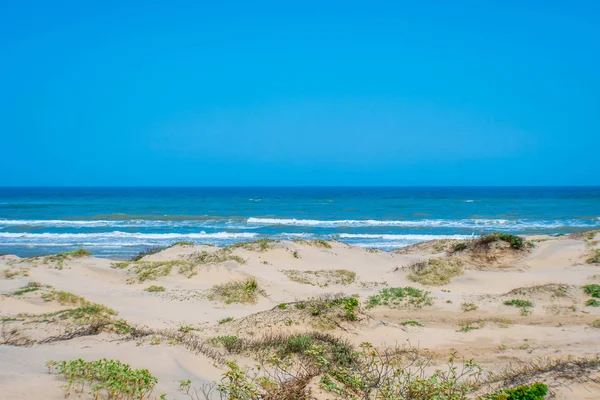 En vacker mjuk och fin sandstrand längs kusten av South Padre Island, Texas — Stockfoto