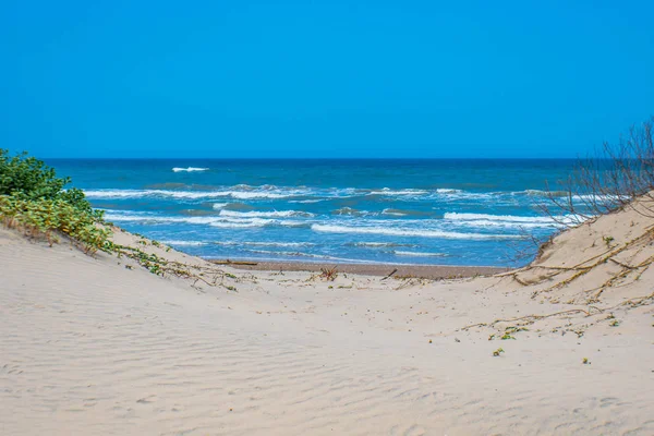 Красивый мягкий и мелкий песчаный пляж вдоль заливного побережья острова Саут-Падре, Техас — стоковое фото