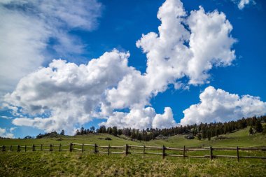 Buffalo, Wyoming 'de güzel bir doğa manzarası.