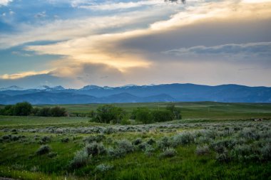 Mikesell Potts Eğlence Bölgesi, Wyoming 'de doğaya güzel bir bakış açısı.