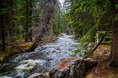 Buffalo, Wyoming 'de dar bir su akıntısı