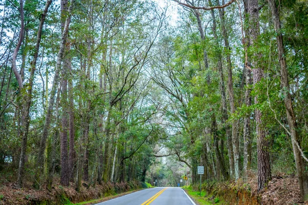 Krásný výhled na přírodu v Tallahassee, Florida — Stock fotografie