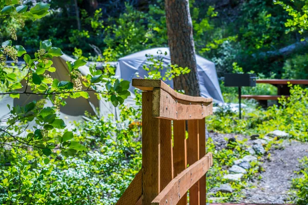 Um calçadão de trilha florestal na Floresta Nacional de Helena, Montana — Fotografia de Stock