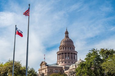 Austin, TX, ABD - 9 Mart 2019 Teksas Eyaleti Kongre Binası 'nın büyük dış koruma alanları