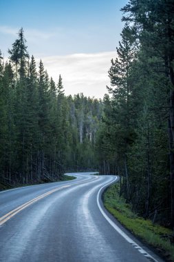 Yellowstone Ulusal Parkı, Wyoming yolunda uzun bir yol var.