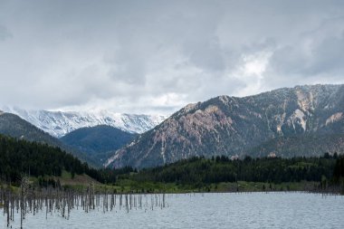 Yellowstone Ulusal Parkı, Wyoming manzarası