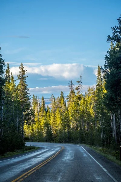 Een Lange Weg Langs Weg Van Yellowstone National Park Wyoming — Stockfoto