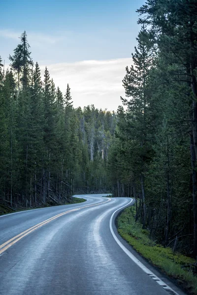 Een Lange Weg Langs Weg Van Yellowstone National Park Wyoming — Stockfoto
