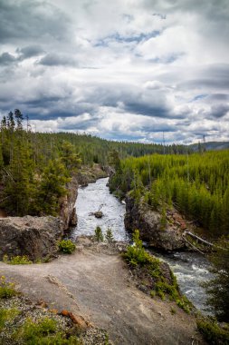 Yellowstone Ulusal Parkı, Wyoming 'de dar bir su akıntısı