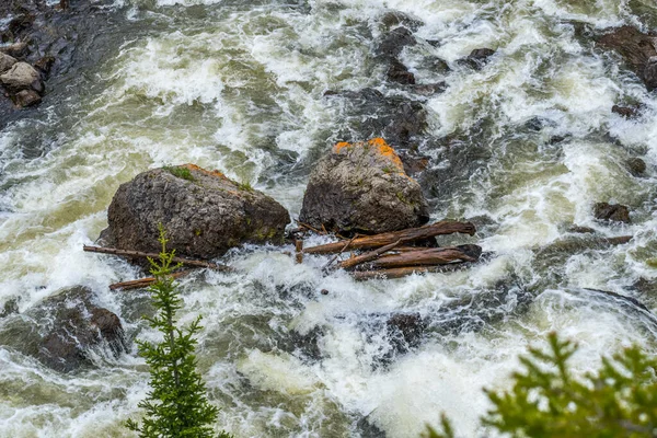 Úzký Proud Vody Yellowstonském Národním Parku Wyomingu — Stock fotografie