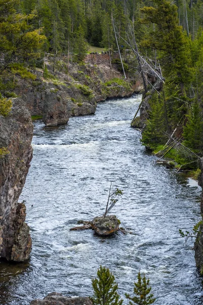 怀俄明州黄石公园的一条狭窄的水流 — 图库照片