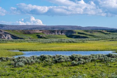 Yellowstone Ulusal Parkı, Wyoming 'de doğaya güzel bir bakış açısı
