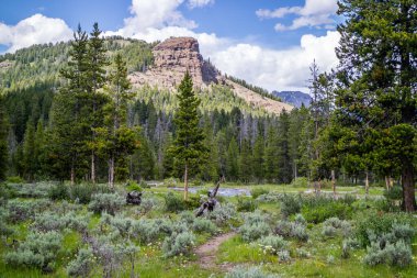 Yellowstone Ulusal Parkı, Wyoming 'de doğaya güzel bir bakış açısı