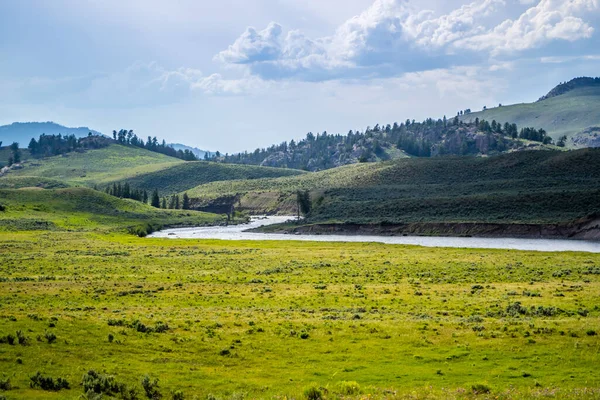 Una Hermosa Vista Naturaleza Parque Nacional Yellowstone Wyoming —  Fotos de Stock