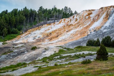 Yellowstone Ulusal Parkı, Wyoming 'de doğaya güzel bir bakış açısı