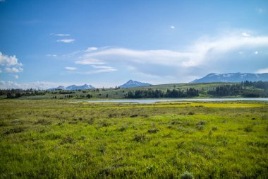Yellowstone Ulusal Parkı, Wyoming 'de doğaya güzel bir bakış açısı