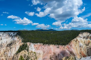 Yellowstone Ulusal Parkı, Wyoming 'de doğaya güzel bir bakış açısı