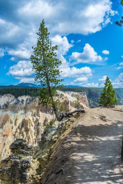 Yellowstone Ulusal Parkı, Wyoming 'de doğaya güzel bir bakış açısı
